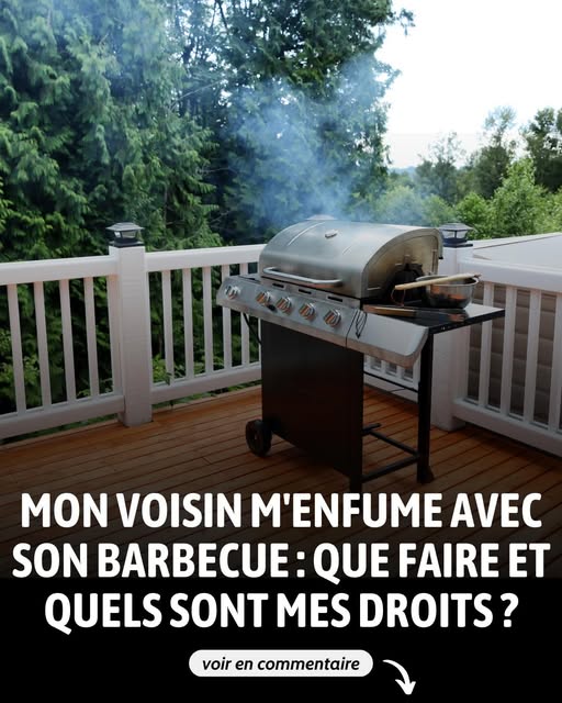 Mon Voisin M Enfume Avec Sa Cheminee Que Faire