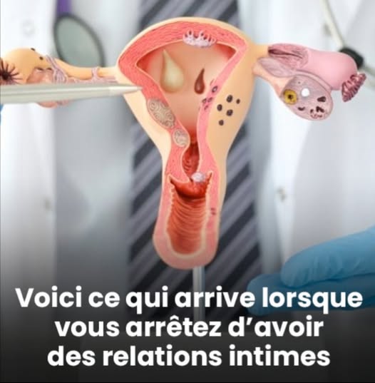 À quel moment les parties intimes d’une femme reviennent-il à la ...
